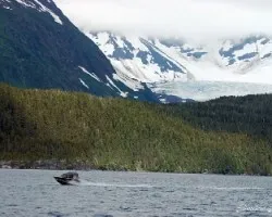 Glaciares