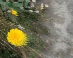 Impresionismo Digital