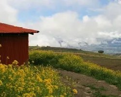 Contrastes  y distancias