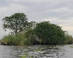 Isleta 