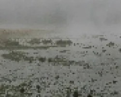 Cita con la niebla