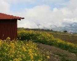 En tierra blanca hay casas rojas