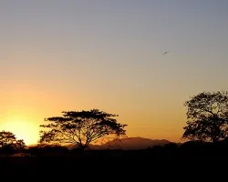 Anochecer En La Pampa