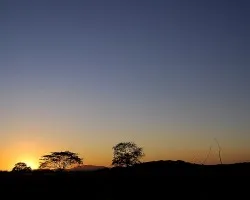 Anocher Guanacasteco