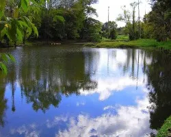 Lago en Parque...