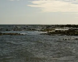 Rocas al descubierto