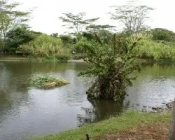 EL LAGO