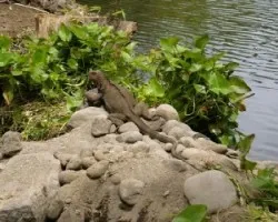 TOMANDO EL SOL