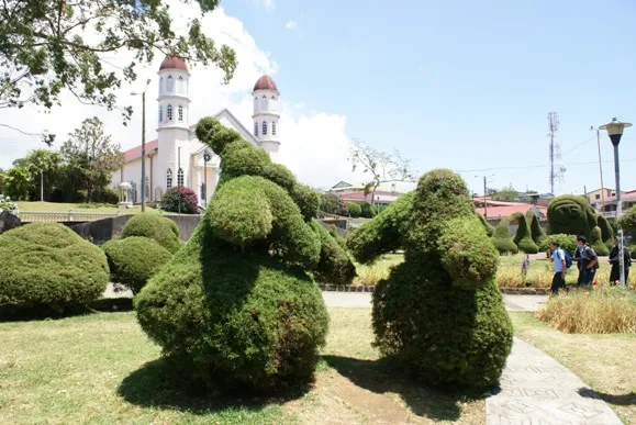 Foto