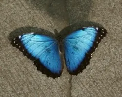 QUE COLOR!!!