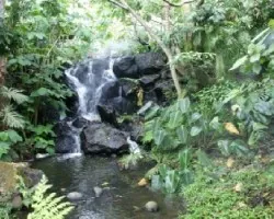 Riachelo