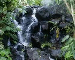 Naciente