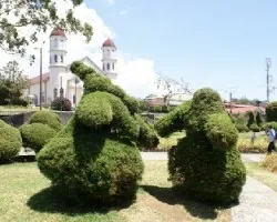 Gorditos