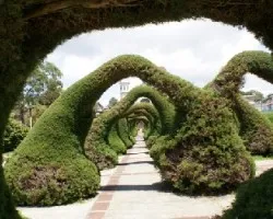 Tunel