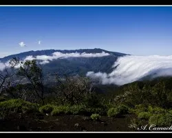 El Valle