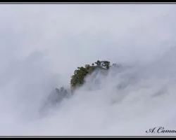 Entre las nubes