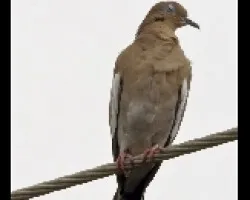 p2