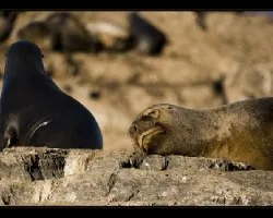 Madre e hijo