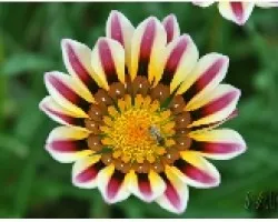 PLANATA_02