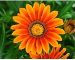 PLANATA_03