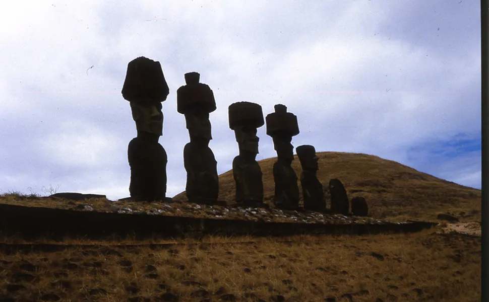 Foto