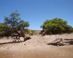 EL VIENTO NOS DIíâ€œ íâ€°STA FORMA