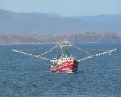 barco