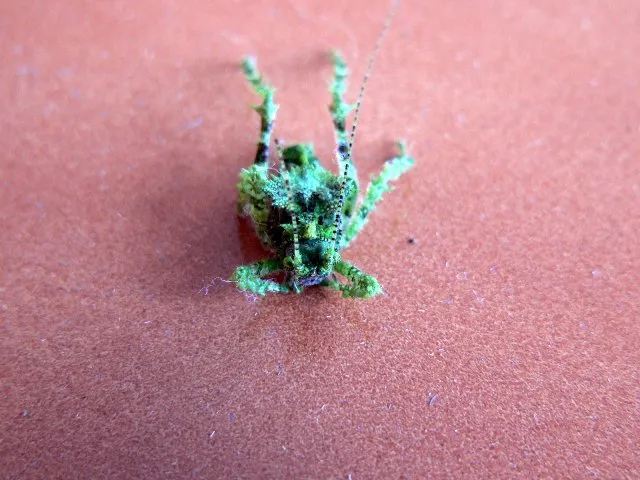 Foto