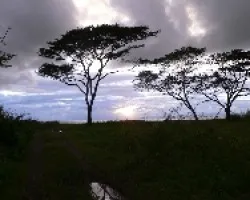 atardecer tarcoles