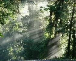 rayos de vida