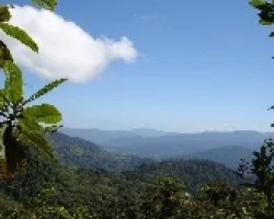 Paisaje