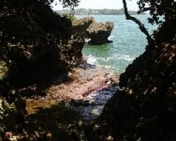 Isla Uvita