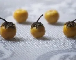 Nances