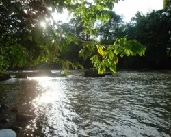 el correr del rio