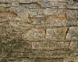 Corteza de un arbol