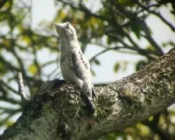Se cambió