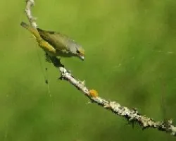 Prueba 1