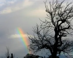 Arco iris  1 de Enero  2009