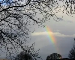 Arco iris 1 de Enero 2009