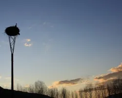  cigíÂ¼e?a y el atardecer