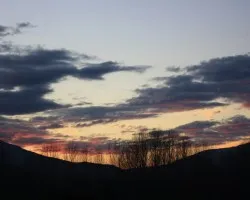 La cigíÂ¼e?a y el atardecer