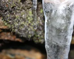 Témpanos de hielo