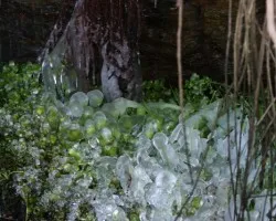 Témpanos de hielo