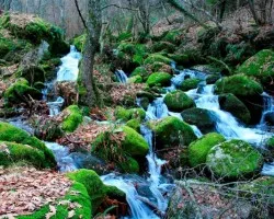 Agua