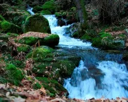 Agua