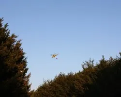 El c?ncer de nuestros montes