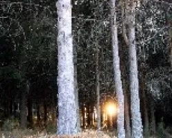 El Sol sobre el suelo