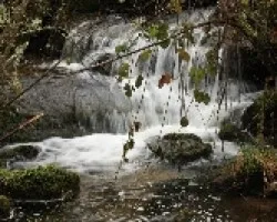 En el arroyo