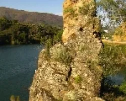 Los pollitos de las cigíÂ¼e??s
