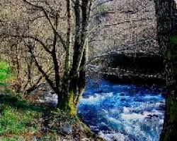 Un rincón verde y azul en el r?o Soldón